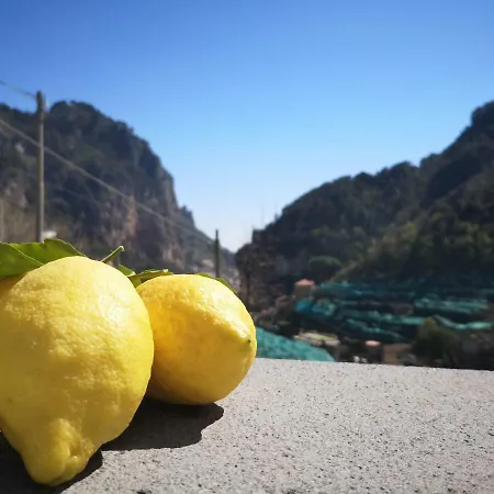 Fior D'arancio * Amalfi