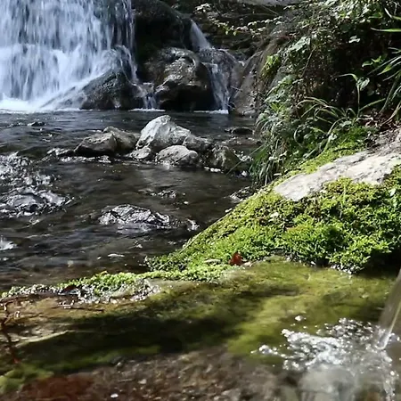 Nyaraló Fior D'arancio